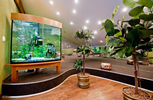 Отель "Соборный" Bila Tserkva Extérieur photo